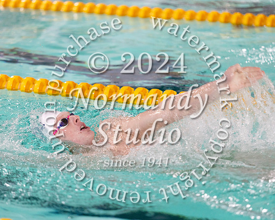 WHS_sw-b+g_20