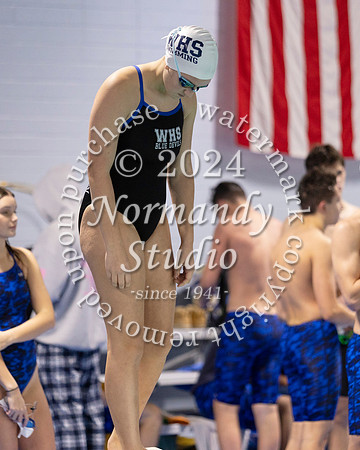 WHS_sw-b+g_28
