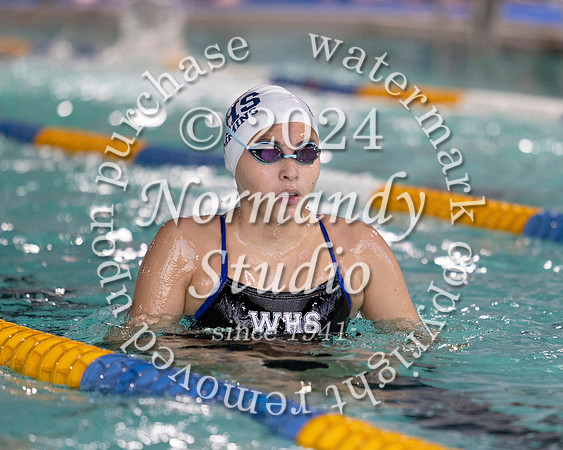WHS_sw-b+g_38