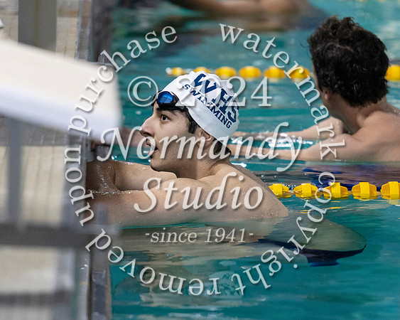 WHS_sw-b+g_60