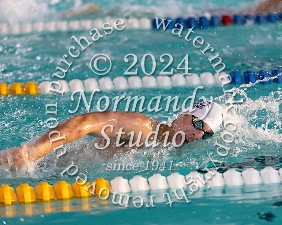 WHS_sw-b+g_01