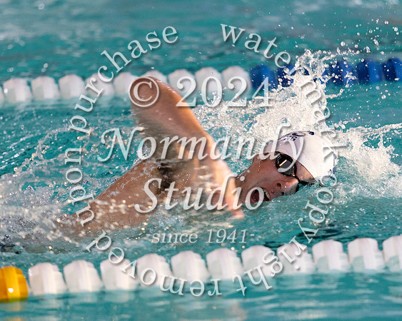 WHS_sw-b+g_02
