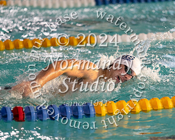 WHS_sw-b+g_03
