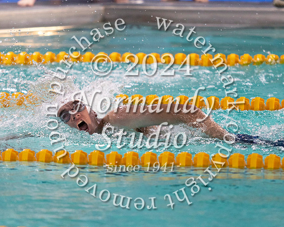 WHS_sw-b+g_04