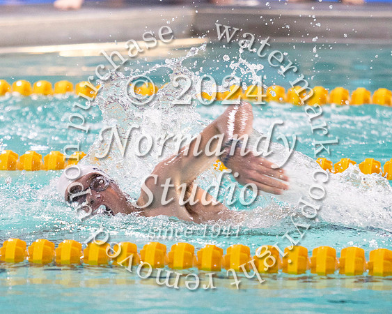 WHS_sw-b+g_05