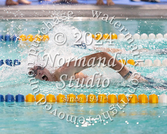 WHS_sw-b+g_06