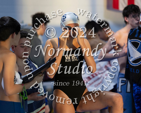 WHS_sw-b+g_07