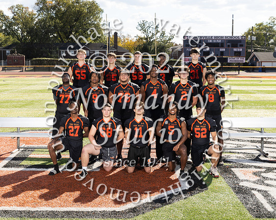 SVL_fb-jv-var-t_06