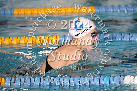 CHS_sw-g_16