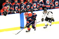 ICE HOCKEY