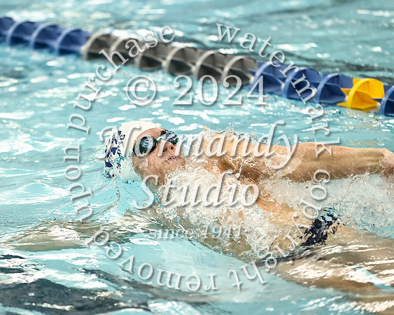 WHS_sw-b_12