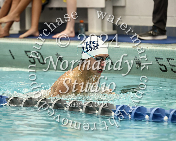 WHS_sw-b_17