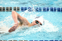 WHS_sw-b_19