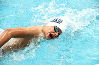 WHS_sw-b_20