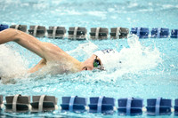 WHS_sw-b_24