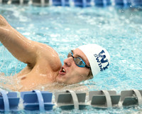 WHS_sw-b_31