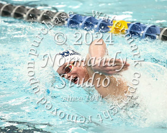 WHS_sw-b_50