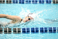 WHS_sw-g-_18
