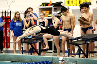 WHS_sw-g-_20