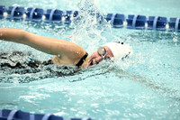 WHS_sw-g-_08