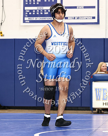 WHS_wr_19