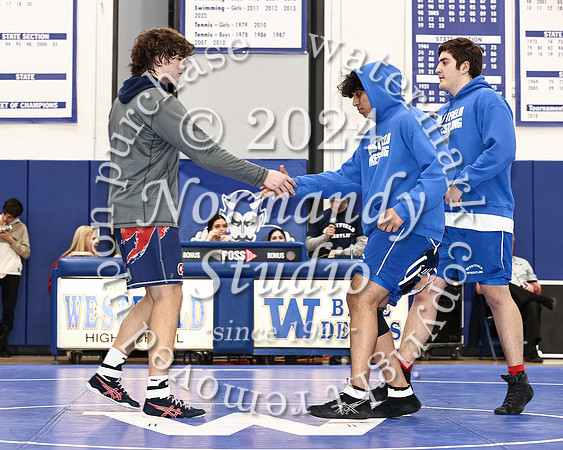 WHS_wr_64