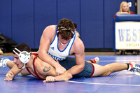 WHS_wr_14