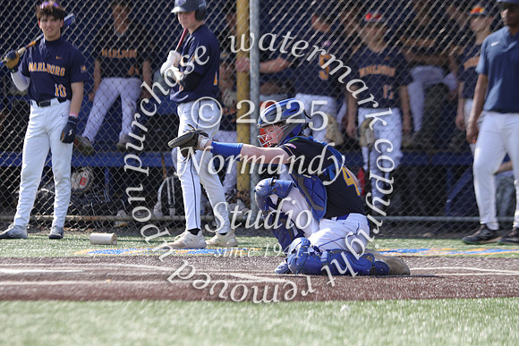 CHS_bb-v_21