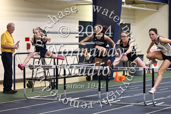 WMC_wt-g_21