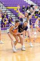 WHS_bb-g_14