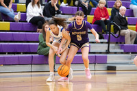 WHS_bb-g_05