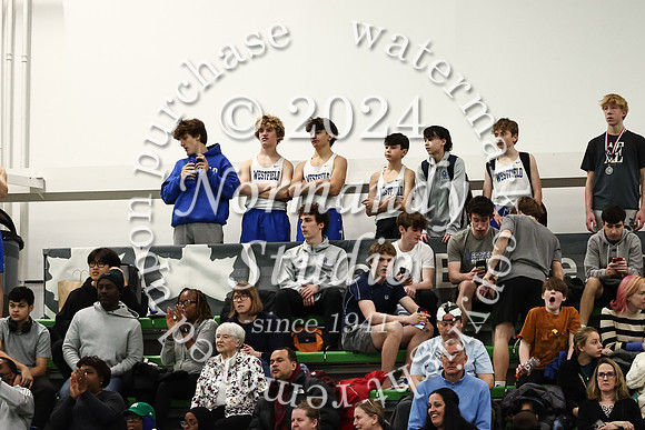 WHS_wt-b_81
