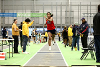 MSM_wt_02