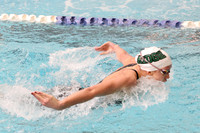 SWIMMING GIRLS