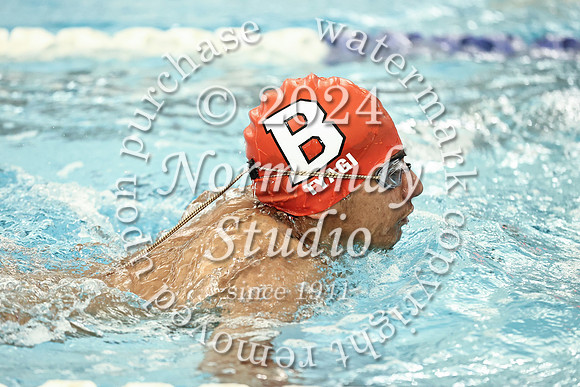 BER_sw-b_02