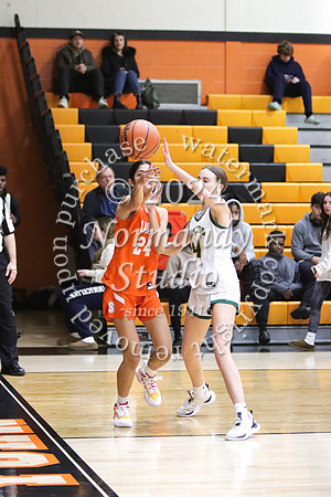 SVL_bb-g-j_29