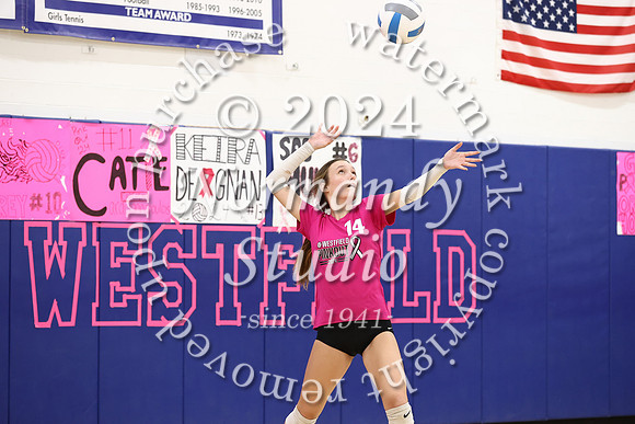 WHS_vb-pink out_25