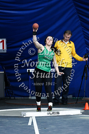 CNH_wt-g_24