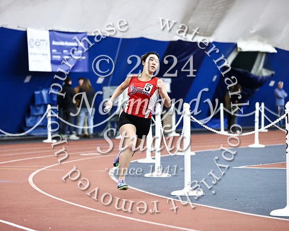 MNP_wt-g_31