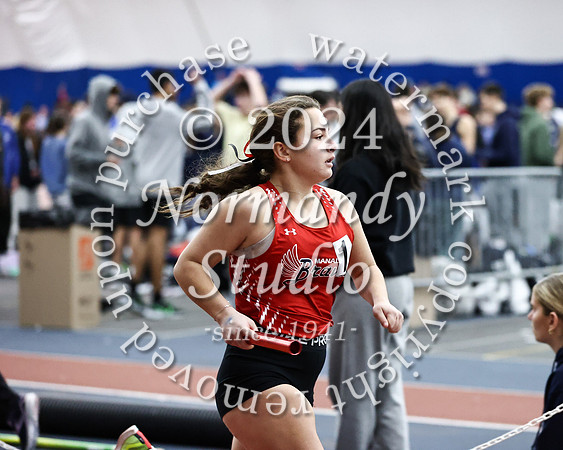 MNP_wt-g_48