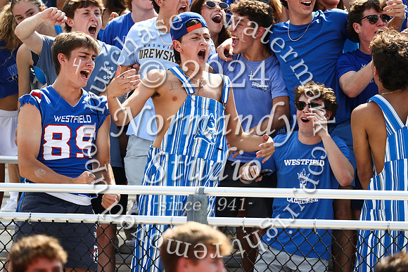 WHS_fans_36