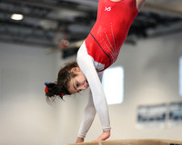 MNP_gy_19