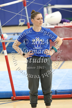 WHS_gy_41