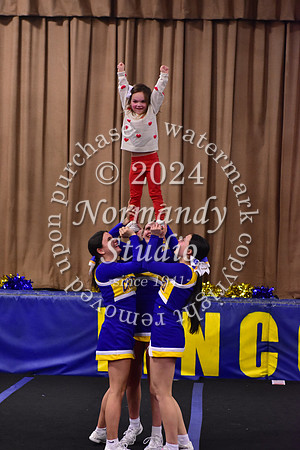 CHS_comp ch_42