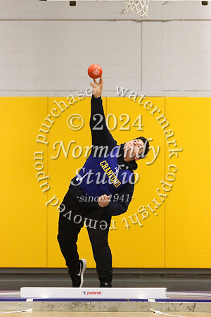 CHS_wt-b_20