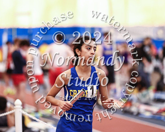 CHS_wt-g_06