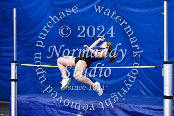 CHS_wt-g_17