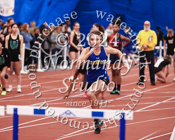 CHS_wt-g_23