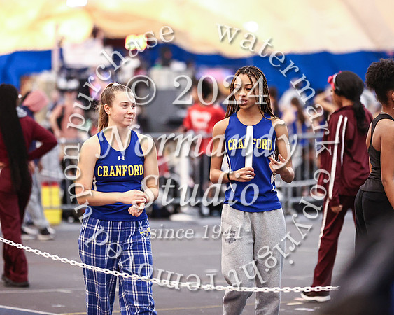 CHS_wt-g_01
