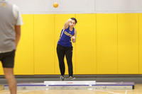 CHS_wt-g_20